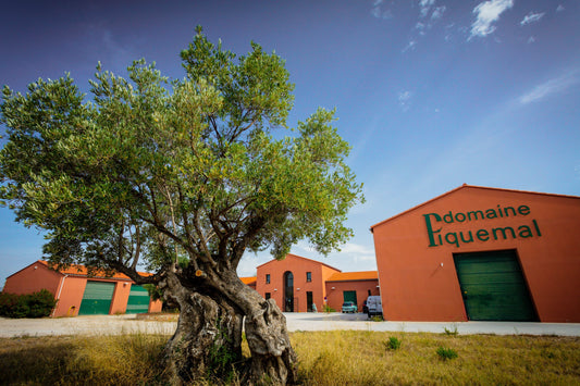 Domaine Piquemal Roussillon