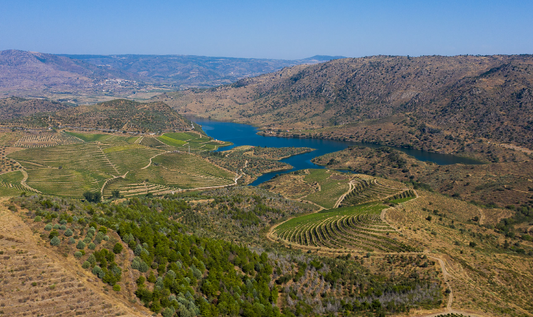 Douro Portugal Vinooh wijnen