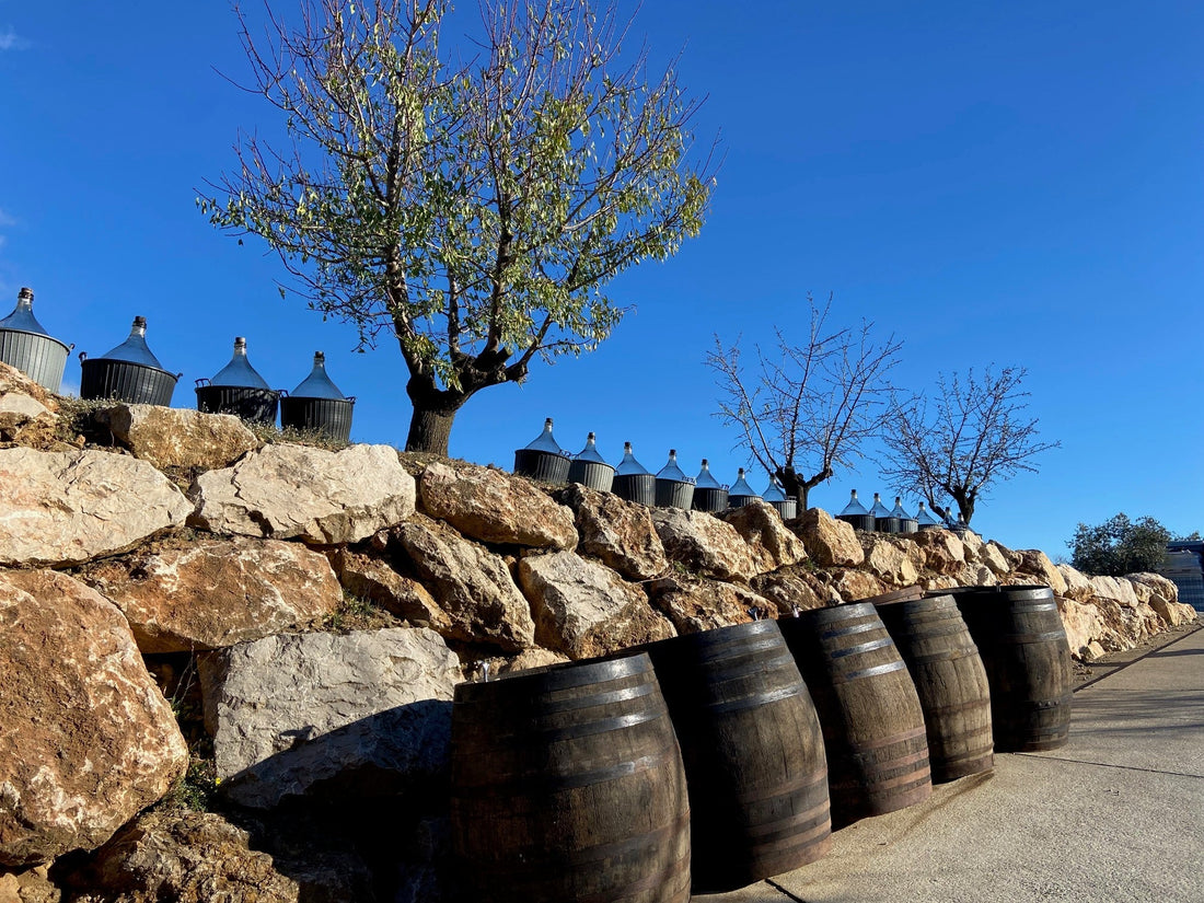 Celler La Vinyeta Empordà