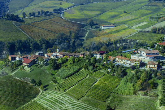 Raineri Vini Piemonte