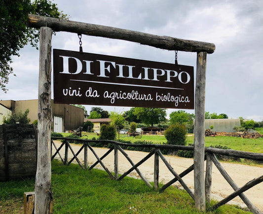 Cantina di Filippo Vini Biologica