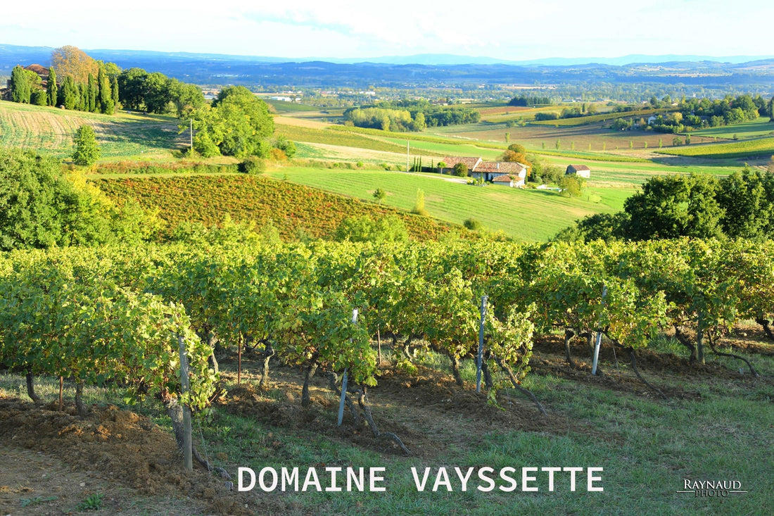 Domaine Vayssette Gaillac Sud-Ouest