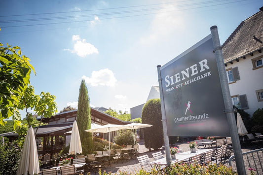 Weingut Siener wijngaarden Birkweiler Pfalz