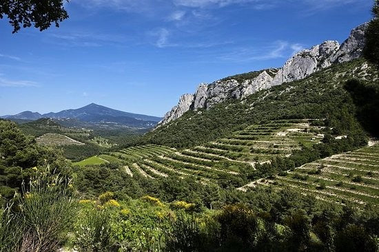 Domaine La Ligière Rhône